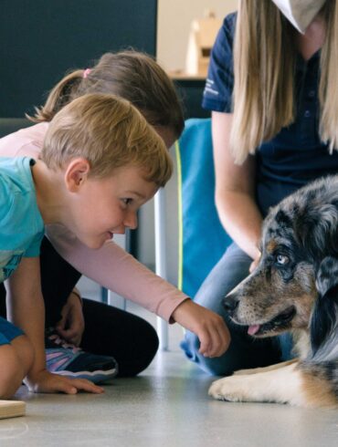 Eine Begegnung zwischen einem jungen Kind und einem Hund im Rahmen der Schule für Blindenführhunde.